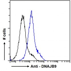 Microvascular Endothelial Differentiation Gene 1 Protein (DNAJB9) Antibody