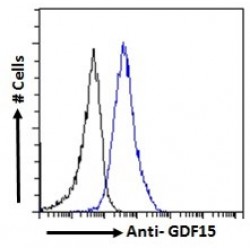 Growth Differentiation Factor 15 (GDF15) Antibody