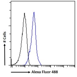 Interferon Alpha/Beta Receptor 2 (IFNAR2) Antibody