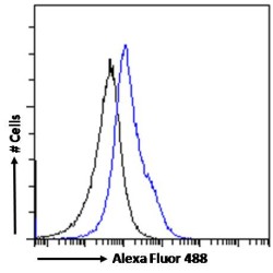 Opioid Growth Factor Receptor (OGFR) Antibody