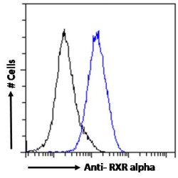 RXR alpha Antibody