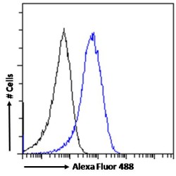 Serine/threonine-Protein Kinase TBK1 (TBK1) Antibody