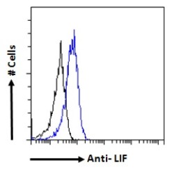 Leukemia Inhibitory Factor (LIF) Antibody