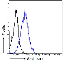 Cyclic AMP-Dependent Transcription Factor ATF-6 Alpha (ATF6) Antibody