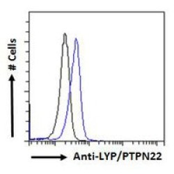 Tyrosine-Protein Phosphatase Non-Receptor Type 22 (PTPN22) Antibody