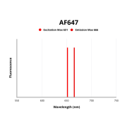 Fluorescence emission spectra of AF647.