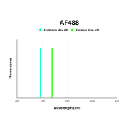 Fluorescence emission spectra of AF488.