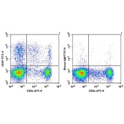 Flow cytometric surface staining of Human peripheral blood lymphocytes using (left) CD57 Antibody (FITC) and CD8a Antibody (APC); (right) Mouse IgM Kappa Isotype Control (FITC) and CD8a Antibody (APC).