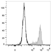 Flow cytometry analysis of human peripheral blood monocytes stained with PE-conjugated CD64 antibody (filled in grey histogram on the right) and unstained monocytes (empty black histogram on the left).
