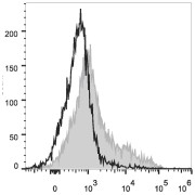 Flow cytometric analysis of C57BL/6 murine bone marrow cells, using CD106/VCAM1 Antibody (PerCP / Cyanine 5.5) (filled gray histogram). Unstained bone marrow cells (empty black histogram) are used as the control.