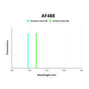 Fluorescence emission spectra of AF488.