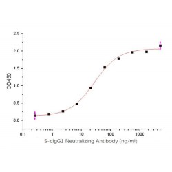 SARS-CoV-2 Spike Neutralizing Antibody