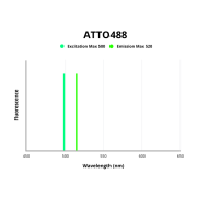 Fluorescence emission spectra of ATTO 488.