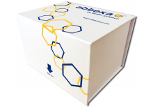 Abbexa ELISA Kit Box