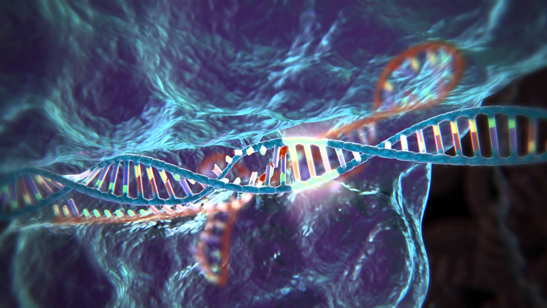 CRISPR DNA gene editing